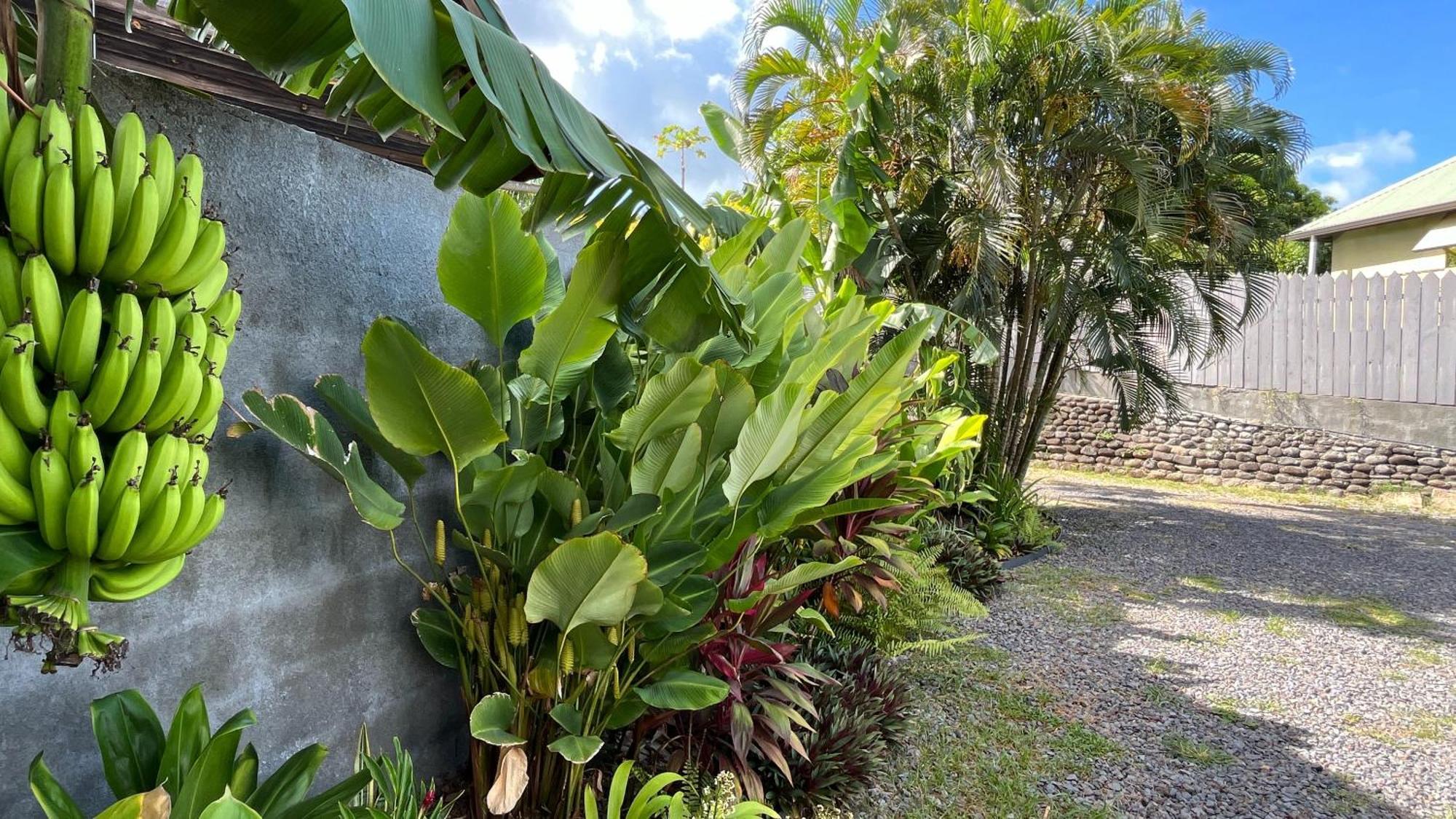 Ononui Lodge Airport, Ocean-View, Private Bathroom And Balcony, Free Wifi And Parking, On-Site Car Rental Faaa Bagian luar foto